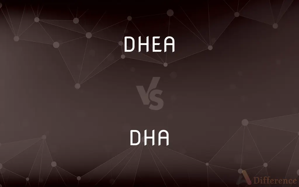 Dha Vs Dhea