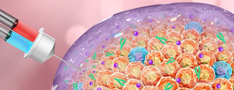 Ebc 46 Treatment Induces Greater Effects When Injected Into Tumors Download Scientific Diagram