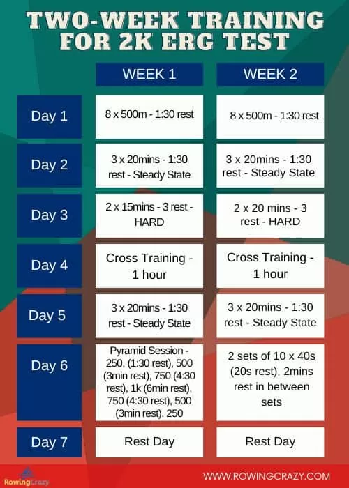 Erg Medical Test