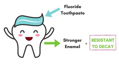 Fluoride Oral Health Faqs The Vallance Dental Centre