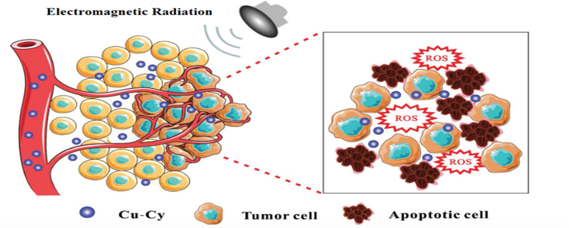 How Cell And Gene Therapy Kills Cancer Alliance For Cancer Gene Therapy