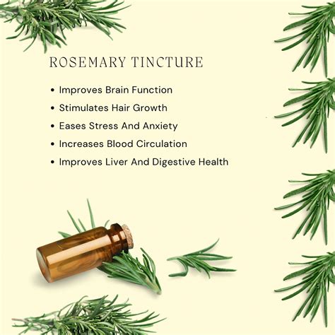 How To Make Rosemary Tincture At Home Step By Step Guide Making New