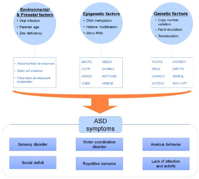 Jcm Free Full Text Genetic And Epigenetic Etiology Underlying Autism Spectrum Disorder