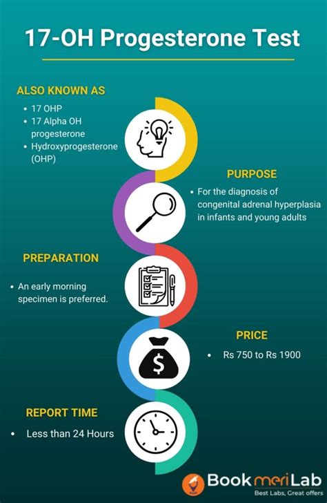 Oh 17 Progesterone Levels Explained