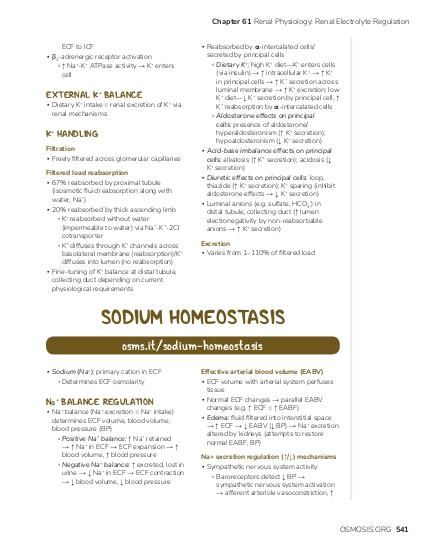 Potassium Homeostasis Osmosis