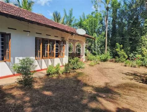 Property For Sale Or Rent In Sri Lanka Patpat Lk Property For Sale Or Rent In Sri Lanka Patpat Lk