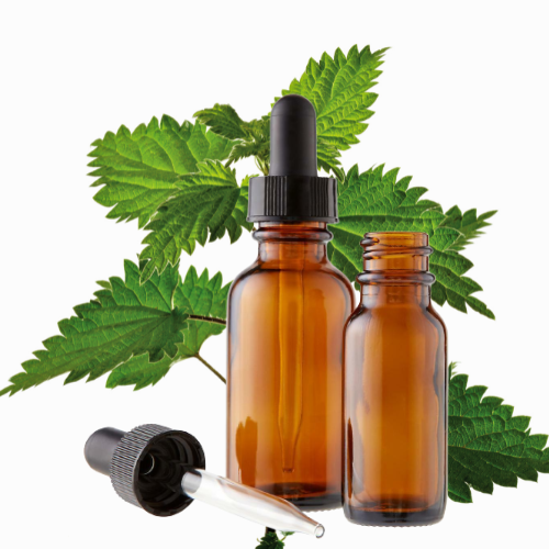 Stinging Nettle Tincture Made With Fresh Wildcrafted Nettles Urtica Dioica Tincture