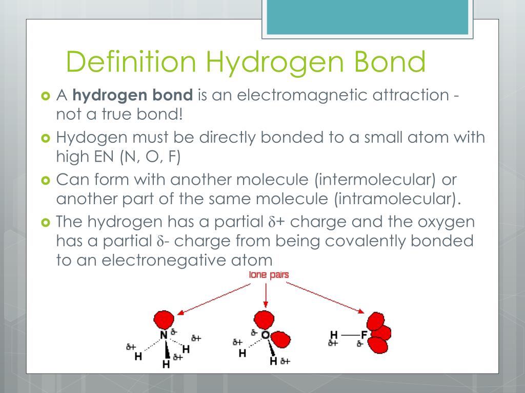 Tryptophan Hydrogen Bonding Explained