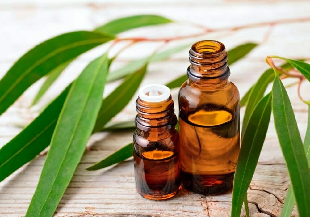 Use Eucalyptus Oil